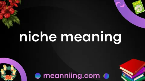 niche meaning