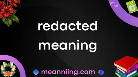 redacted meaning