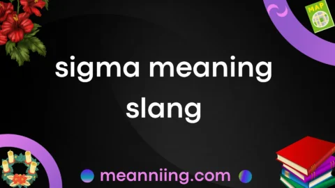 sigma meaning slang
