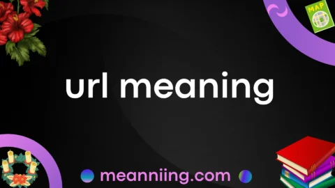 url meaning