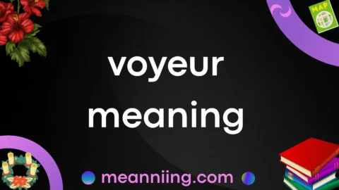 voyeur meaning