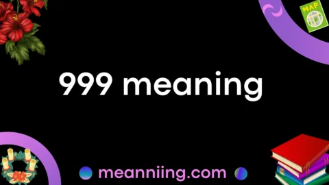 999 meaning