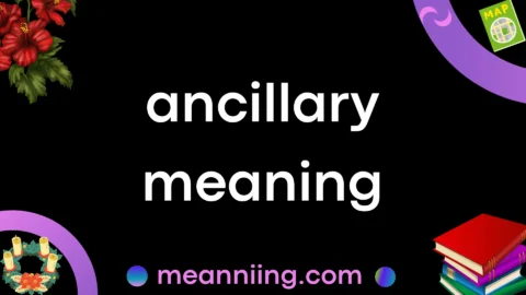 ancillary meaning