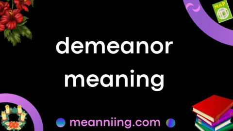 demeanor meaning