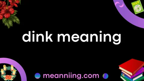 dink meaning