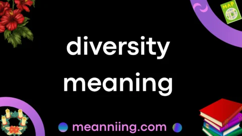 diversity meaning