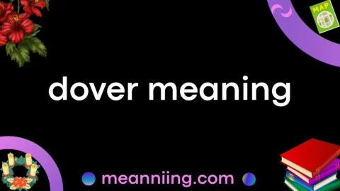 dover meaning
