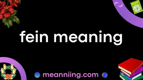 fein meaning