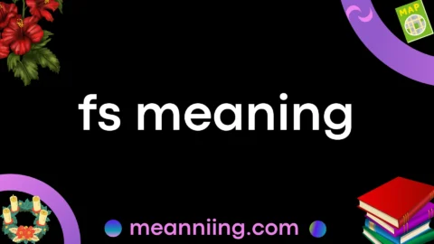fs meaning