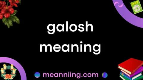 galosh meaning