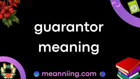 guarantor meaning