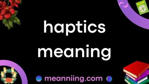 haptics meaning