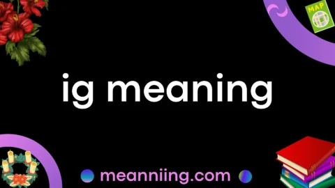 ig meaning