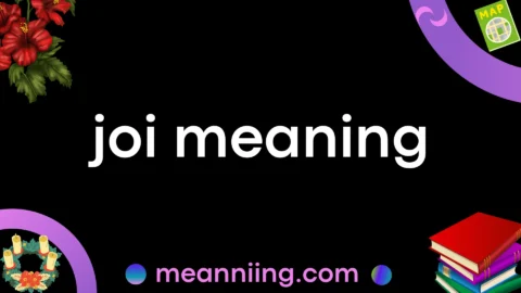 joi meaning