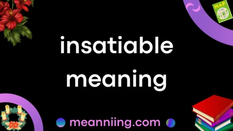 insatiable meaning