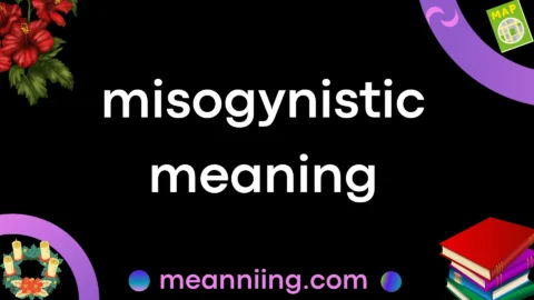 misogynistic meaning