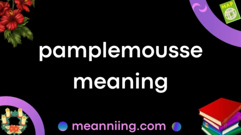 pamplemousse meaning