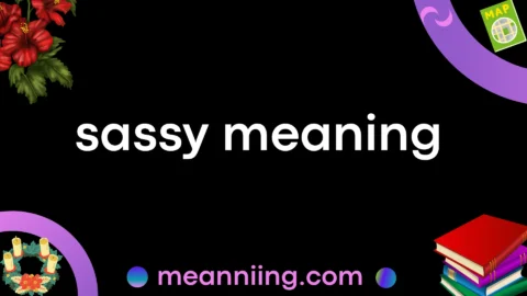 sassy meaning