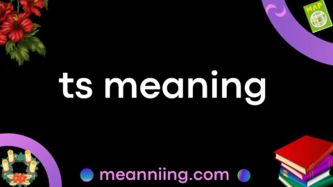 ts meaning