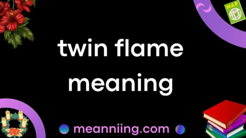 twin flame meaning