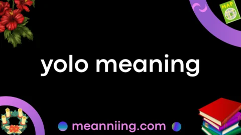 yolo meaning