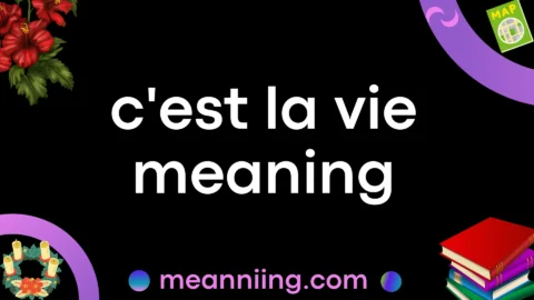 c'est la vie meaning