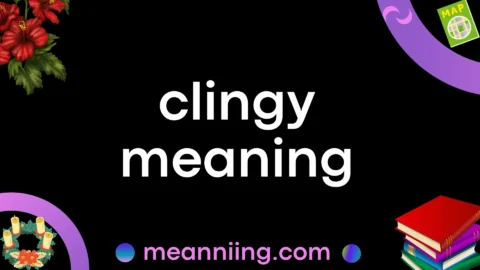 clingy meaning