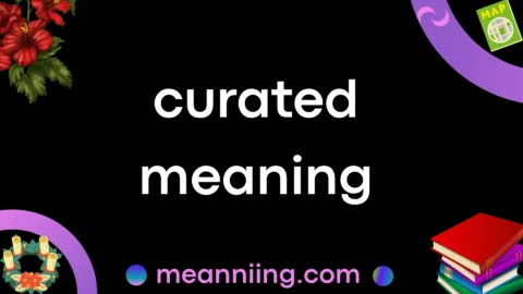 curated meaning