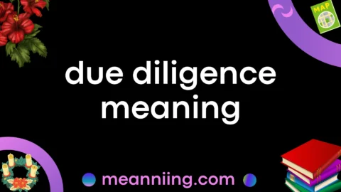 due diligence meaning