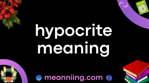 hypocrite meaning