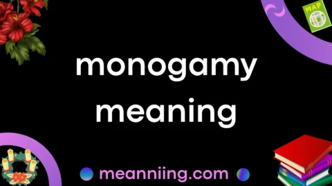 monogamy meaning