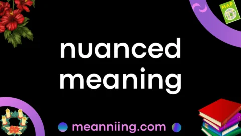 nuanced meaning