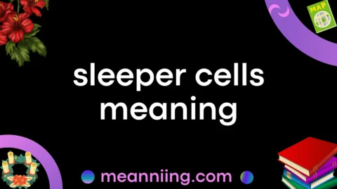 sleeper cells meaning