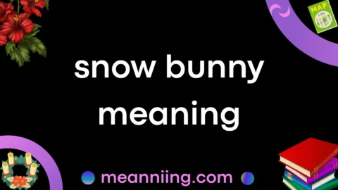 snow bunny meaning