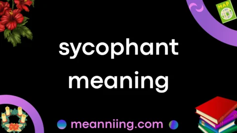 sycophant meaning