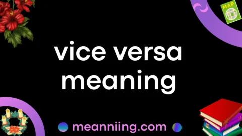 vice versa meaning
