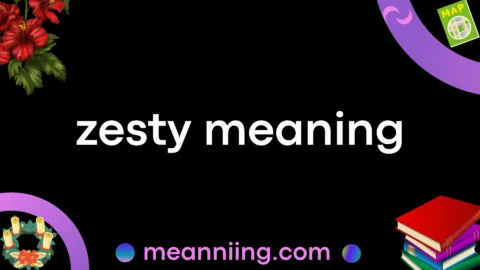 zesty meaning